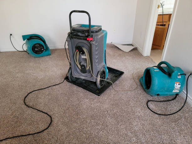 Best Sewage cleanup and water damage restoration  in Linntown, PA