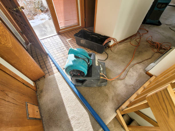Best 24-hour water damage restoration  in Linntown, PA
