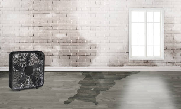  Linntown, PA Water damage restoration Pros