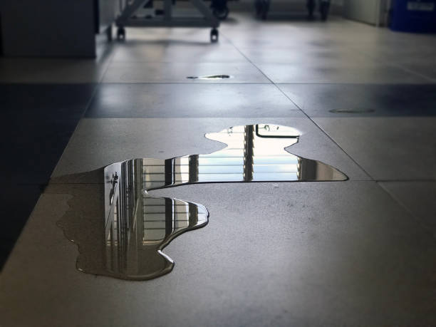 Best Emergency water damage restoration  in Linntown, PA