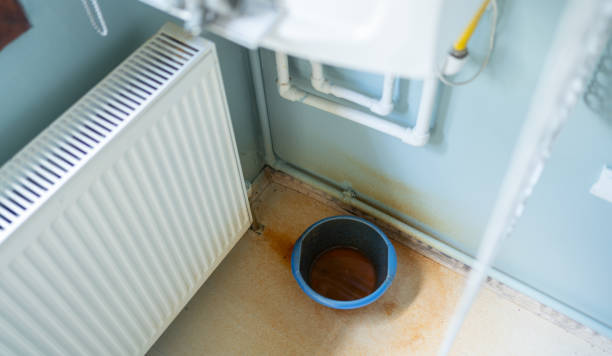 Best Water damage repair service  in Linntown, PA