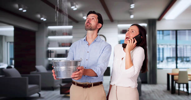 Best Local water damage restoration  in Linntown, PA