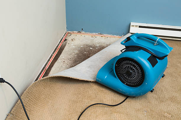 Best Water damage restoration specialists  in Linntown, PA